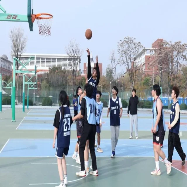 湖人附加卡位赛季关键战形势解析